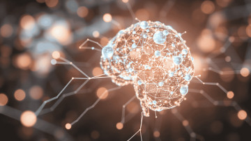 PRŮZKUM - MBA PROFESNÍ PROGRAMY SE ZAMĚŘENÍM NA AI (1)